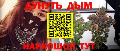 мяу мяу мука Краснознаменск