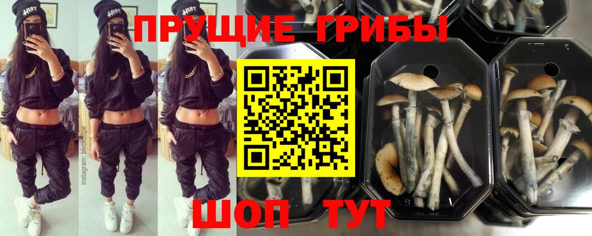 NBOMe  Конопля  Гашиш  Азнакаево  Меф МЯУ МЯУ   Как найти наркотики?  Вход с VPN 